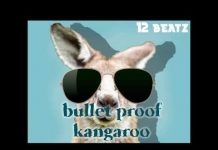 Beyonce and Jay Z Type Beat – BulletProof Kangaroo (Beat By 12 Beatz) beyonce Jay z instrumental beat
