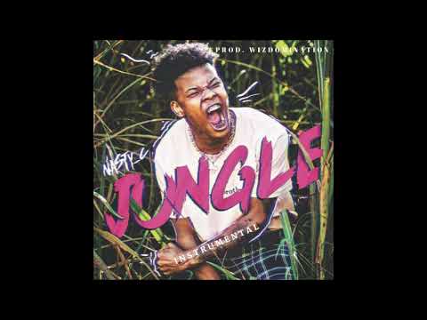nasty c jungle instrumental nasty c jungle instrumental