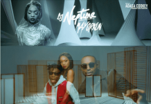 Dj Neptune ft Mayorkun – Tear Rubber (Instrumental) By FizzyBeat Dj Neptune Mayorkun Tear Rubber Instrumental