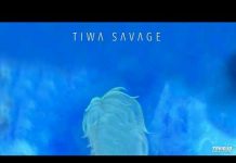 Tiwa Savage – Tiwa’s Vibe (Instrumental) By Guiwiz Tiwa Savage Tiwa's Vibe Instrumental