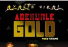 Adekunle Gold – Ayanfe Viral (Instrumental) By fest Beatz Adekunle Gold Ayanfe Viral Instrumental