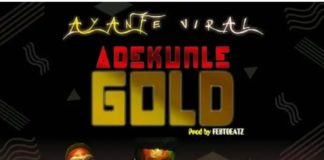 Adekunle Gold – Ayanfe Viral (Instrumental) By fest Beatz Adekunle Gold Ayanfe Viral Instrumental