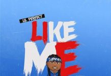 Lil Perfect – Like Me (Instrumental) By TooCoolBeats Lil Perfect Like Me Instrumental