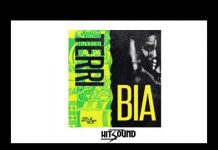 Terri – Bia (Instrumental) By Hitsound Terri Bia Instrumental