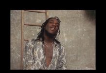 Download Burna Boy – On The Low (Instrumental) Burna Boy On a Low Instrumental