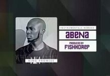 King Promise – Abena (Instrumental) (Prod By FishKoRep) | Free Download King promise abena instrumental