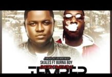 Skales ft Burna Boy – Temper (Instrumental) Skales Temper Instrumental