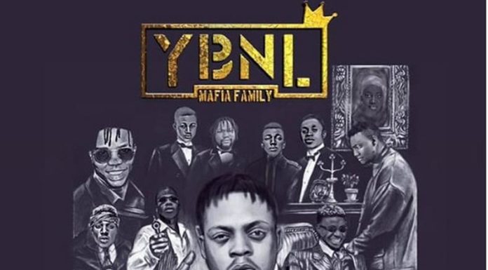 Fireboy – Fire Down (Instrumental) YBNL Mafia Family Album Instrumental Download