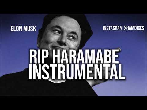 Elon Musk – Rip Harambe (Instrumental)
