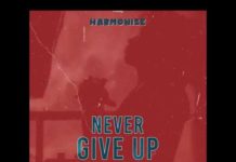 Harmonize – Never Give Up (Instrumental) Harmonize - Never Give Up Instrumental