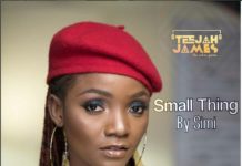 Simi – Small Thing (Instrumental) Simi Small Thing Instrumental
