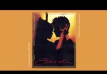 Camila Cabello ft Shawn Mendes – Senorita (Instrumental) Camila Cabello, Shawn Mendes Senorita (Instrumental)