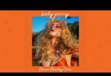Katy Perry – Never Really Over (Instrumental) Katy Perry - Never Really Over Instrumental