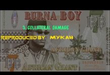 Burna Boy – Collateral Damage Instrumental Burna Boy Collateral Damage Instrumental