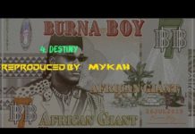 Burna Boy – Destiny Instrumental Burna Boy Destiny Instrumental