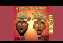 Davido ft Chris Brown – Blow My Mind Instrumental Davido ft Chris Brown - Blow My Mind Instrumental