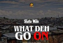 Shatta Wale – What Deh Go On (Instrumental) Shatta Wale What Deh Go On Instrumental