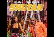Zlatan – Shotan (Instrumental) ft Tiwa Savage ZLATAN ft TIWA SAVAGE - SHOTAN INSTRUMENTAL