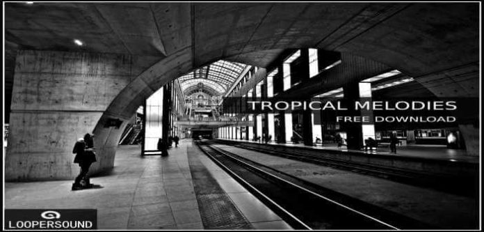 tropical-melodies-loopersound tropical-melodies-loopersound