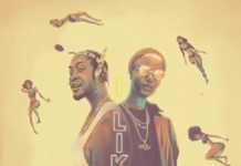 Kojo Funds ft. Wizkid – I Like (Instrumental)