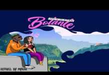 Zlatan – Bolanle Instrumental Zlatan Bolanle Instrumental