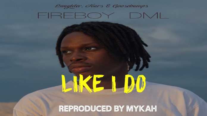 Fireboy - Like I Do (Instrumental) Mp3 Download Fireboy - Like I Do (Instrumental) Mp3 Download