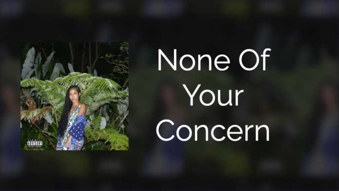Jhené Aiko - None Of Your Concern (Instrumental)