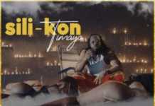 Timaya – Sili-Kon Instrumental Download Timaya Silikon Instrumental
