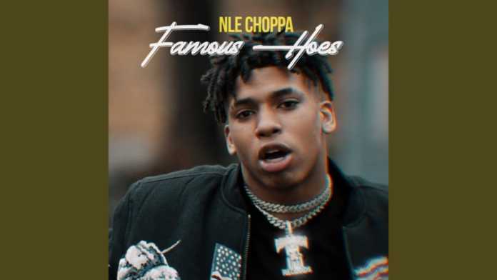 NLE Choppa - Famous Hoes (Instrumental) NLE Choppa - Famous Hoes (Instrumental)