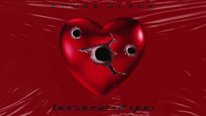 Kodak Black - Because of You (Instrumental) Kodak Black - Because of You (Instrumental)