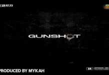 Peruzzi – Gunshot (Instrumental) Peruzzi - Gunshot (Instrumental) Reproduced by Mykah
