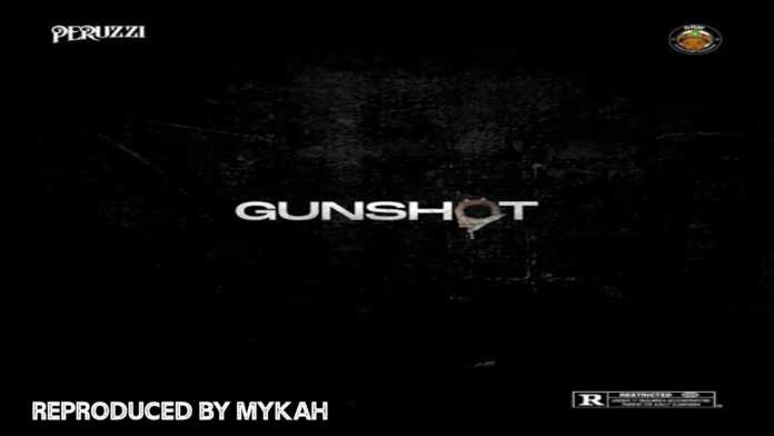 Peruzzi - Gunshot (Instrumental) Reproduced by Mykah Peruzzi - Gunshot (Instrumental) Reproduced by Mykah