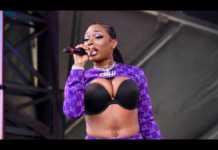 Megan Thee Stallion – Captain Hook (Instrumental) Megan Thee Stallion - Captain Hook (Instrumental)