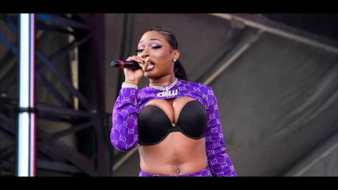 Megan Thee Stallion - Captain Hook (Instrumental)