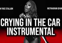 Megan Thee Stallion – Crying in the Car (Instrumental)