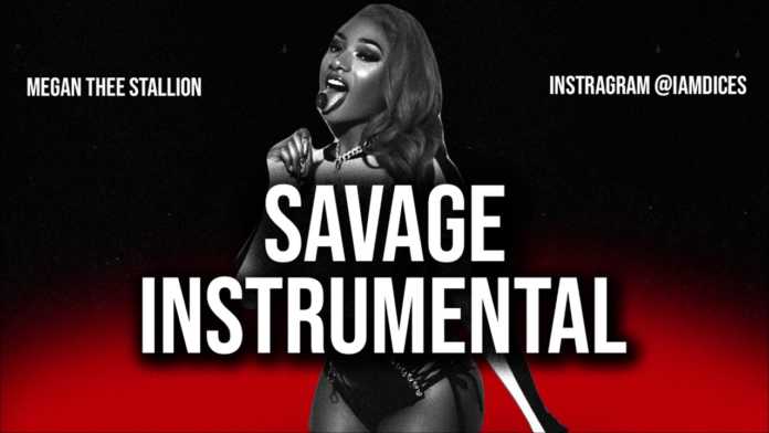 Megan Thee Stallion - Savage Instrumental