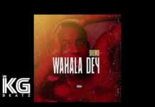 Dremo – Wahala Dey (Instrumental)