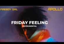 Fireboy DML – Friday Feeling (Instrumental)