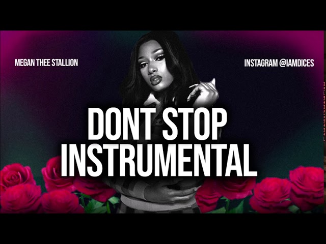 Megan Thee Stallion - Don't Stop ft. Young Thug (Instrumental