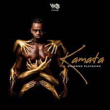 Download Instrumental: Diamond Platnumz – Kamata (Beat By MeddyBeats)