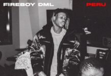 Fireboy – Peru Instrumental Mp3 Download Fireboy peru instrumental