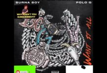 Burna Boy ft. Polo G – Want it all (instrumental)