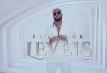Flavour – Levels (Instrumental)