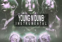 Polo G – Young N Dumb (Instrumental)