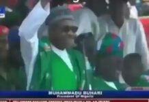 Nigeria From Top To Bottom Cruise Meme Song (Mp3 Download)