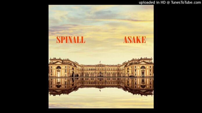 Dj Spinall Ft. Asake - Palazzo (Instrumental + Hook)