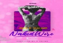 Simi – Naked Wire (Instrumental)