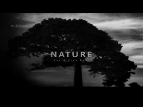 Download Freebeat: Khaid X Ayra Starr X Tems – Nature Typebeat