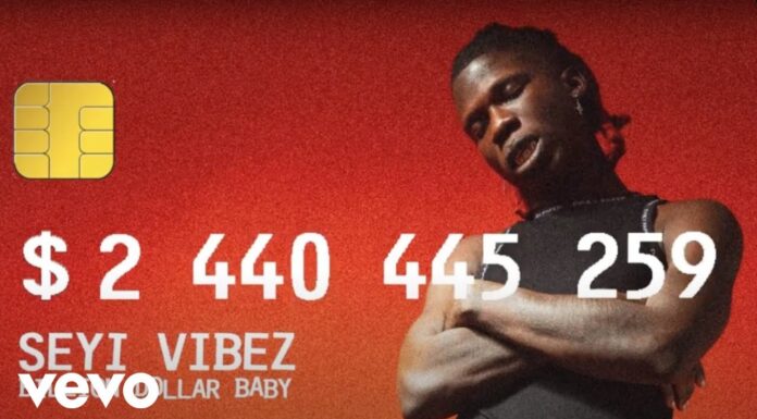Seyi Vibez – Chance (Na Ham) Instrumental + Hook