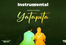 Diamond Platnumz – Yatapita (Instrumental)